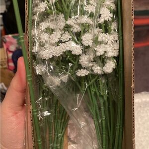 White Floral Stems